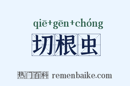 切根虫是什么意思的图片